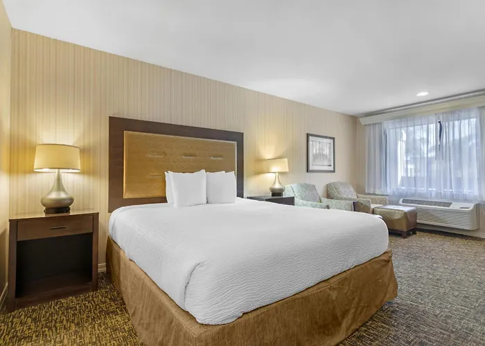 Best Western Plus Big America