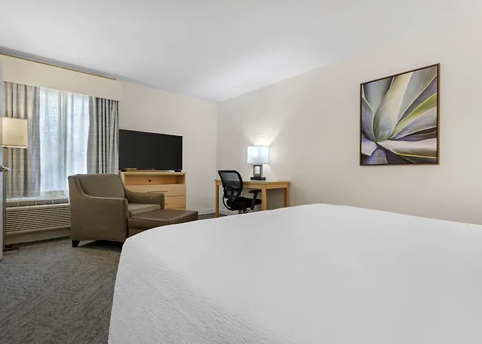Best Western Plus South Coast Inn