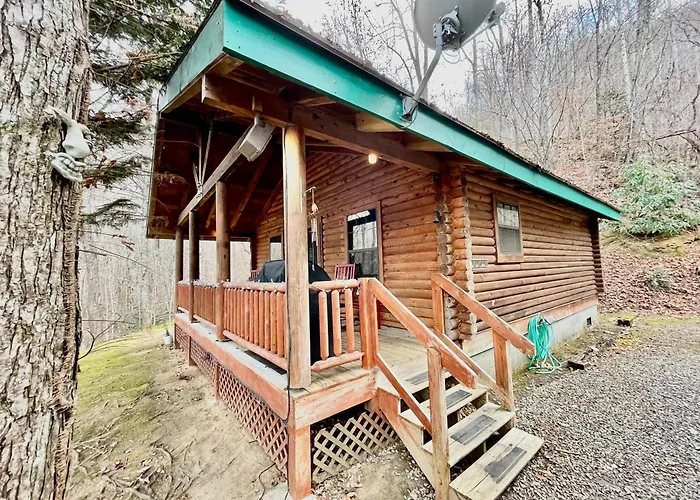 Good Life Cabin 2 - Bryson City Cabin With Hot Tub And Fire Pit