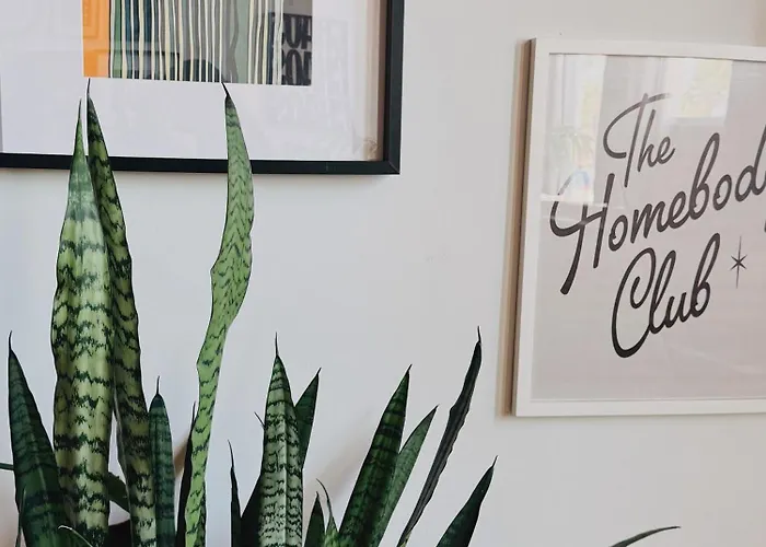420 Friendly Boho Loft Downtown King Suite Free Parking
