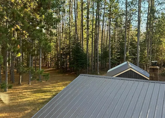Up Escape In The Pines