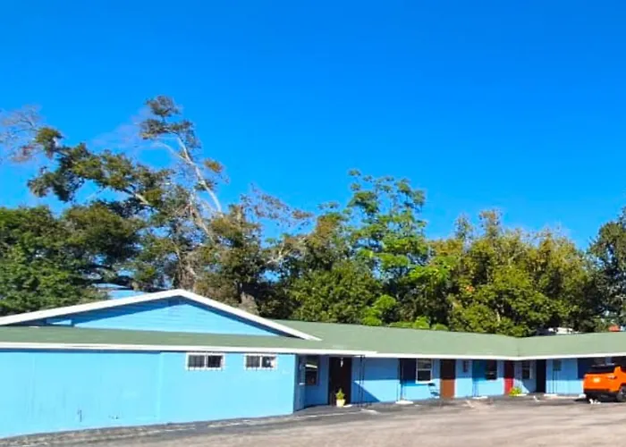 Antigua Motel By Oyo Tampa Us - 41