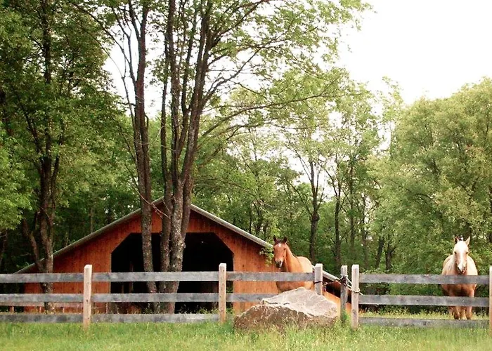 Simple And Spacious Log Cabin Rental On Working Ranch In Adirondacks