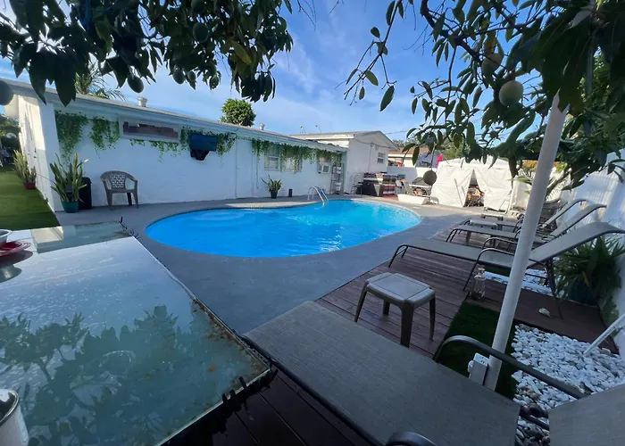 Miami Drip Star Life Hostel