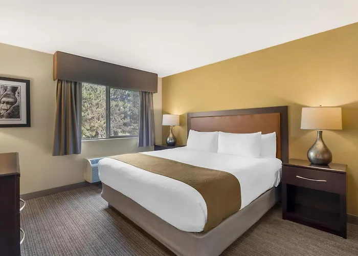 Best Western Plus Plaza By The Green