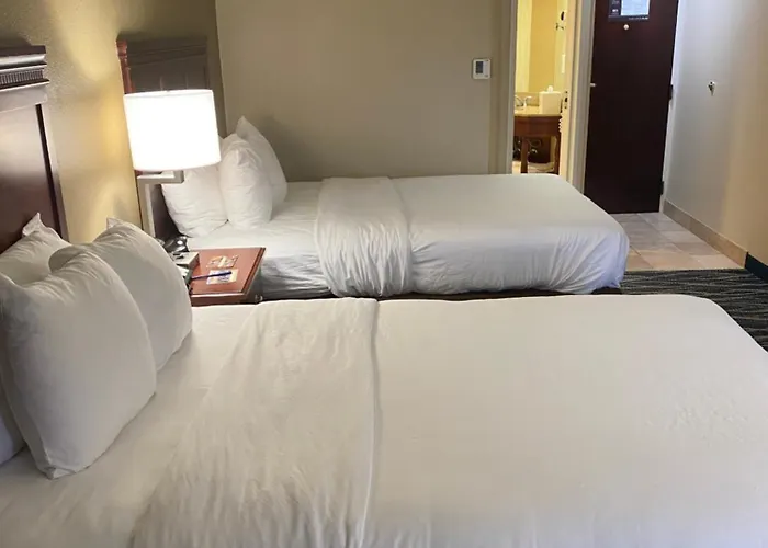 Comfort Inn & Suites Newark - Wilmington
