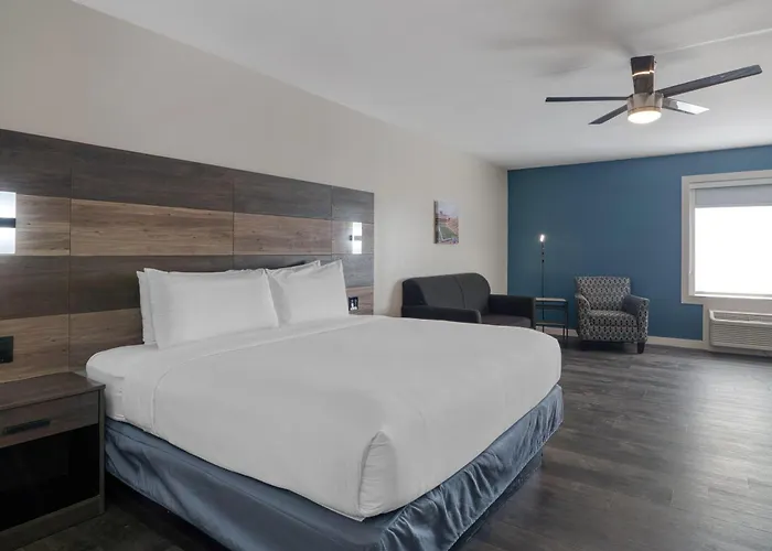 Hom Hotel Gainesville, Surestay Collection By Best Western