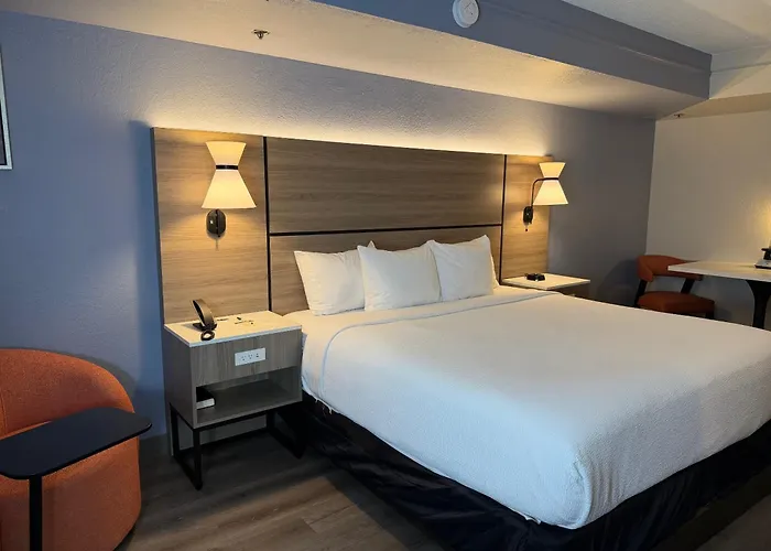 La Quinta By Wyndham St Petersburg-Clearwater
