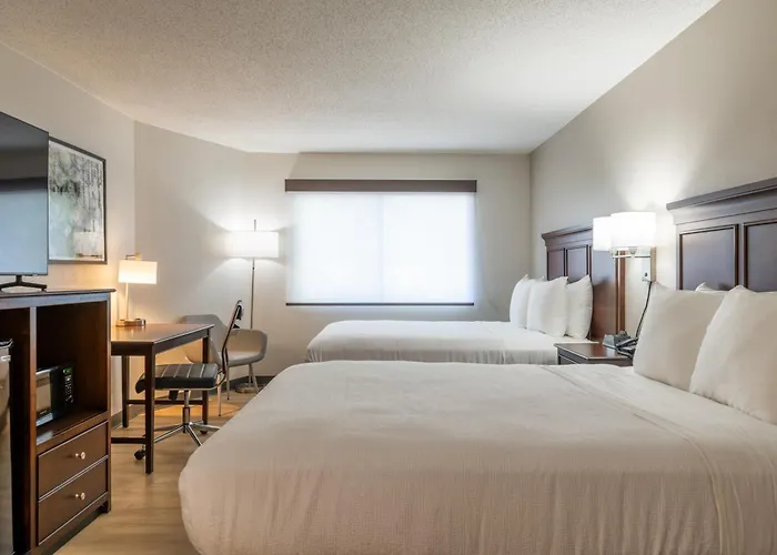 Best Western The Inn At Sharon - Foxboro