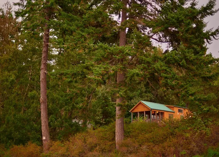 La Conner Camping Resort Cabin 7