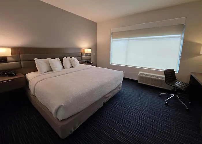 Wingate By Wyndham Austin North - Round Rock