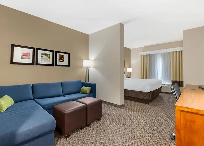 Comfort Inn & Suites Florence Center Area