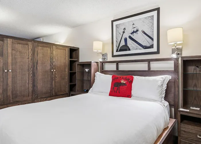 Lift House Lodge, Pet Friendly, Premium Studio Condo