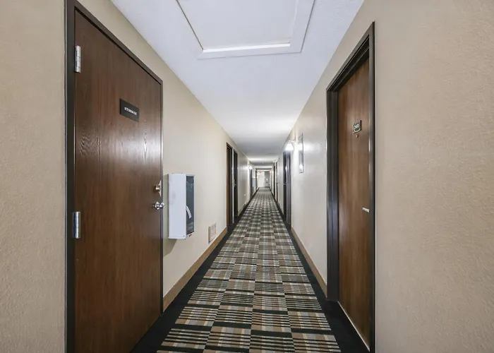 Hotel 8
