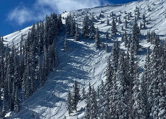 Three Studios At Canyon Base - 15Min To Ski