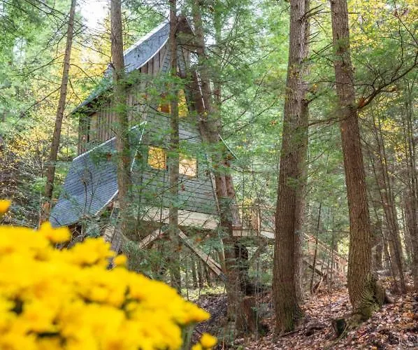 Peaceful Pines Treehouse