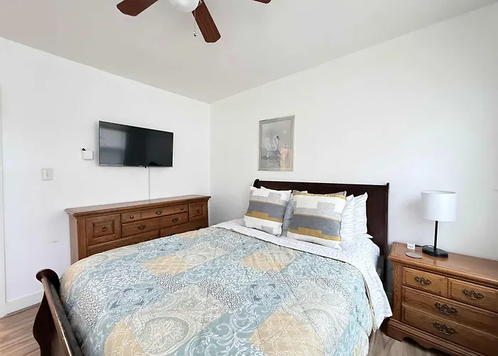 Peaceful & Spacious Family Home Near Carytown Fully Fenced