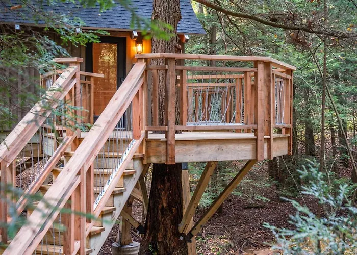 Peaceful Pines Treehouse