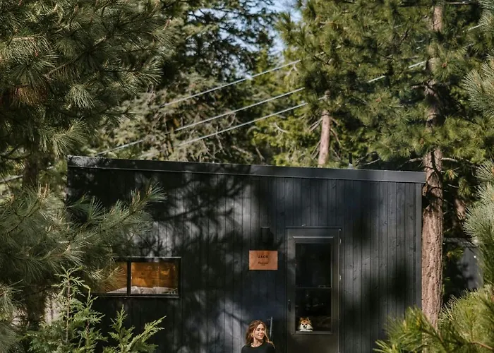Postcard Cabins Western Catskills, Outdoor Collection By Marriott Bonvoy