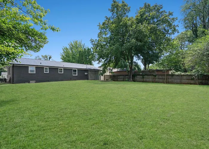 Carbon Ridge 300Mbps Wifi - Dog Friendly