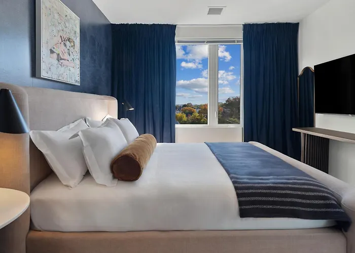 Hyatus Luxury Residences Boston South Bay Designer Collection