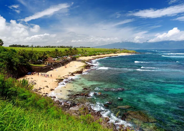 Beautiful 1 Bedroom Condo With Ocean Views | Oceanfront