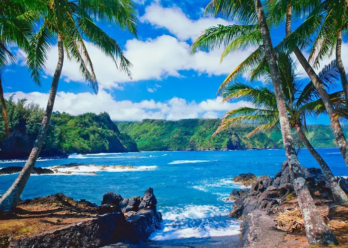 Beautiful 1 Bedroom Condo With Ocean Views | Oceanfront