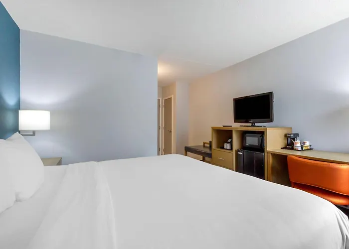 Comfort Inn & Suites Alexandria West