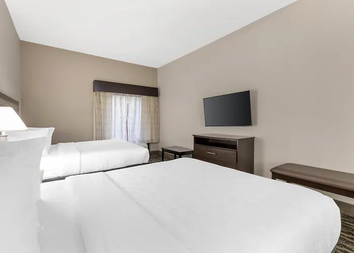 Best Western Plus Mcdonough Inn & Suites
