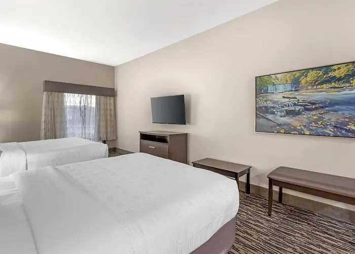 Best Western Plus Mcdonough Inn & Suites