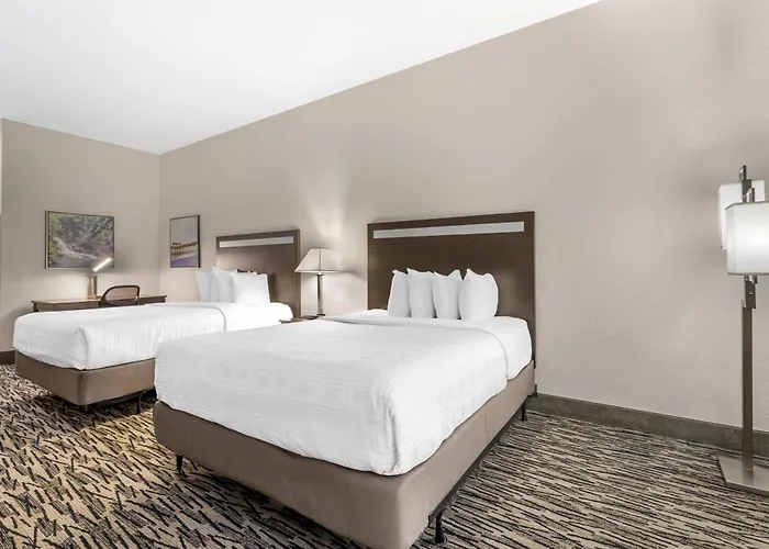 Best Western Plus Mcdonough Inn & Suites
