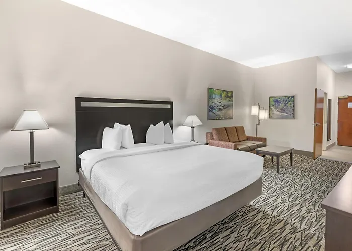 Best Western Plus Mcdonough Inn & Suites