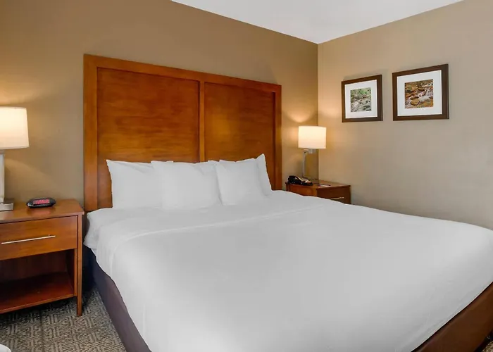Comfort Inn & Suites Peachtree Corners - Norcross