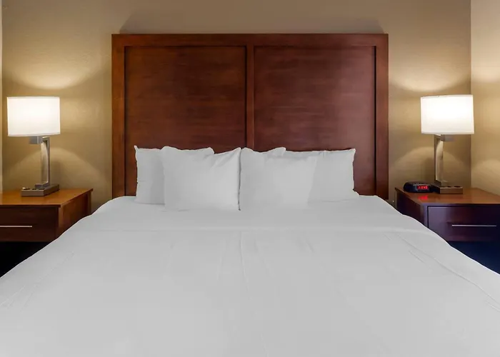Comfort Inn & Suites Peachtree Corners - Norcross