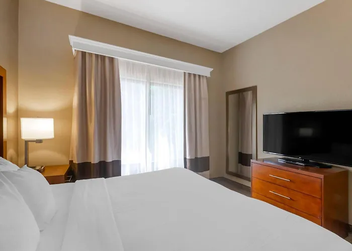 Comfort Inn & Suites Peachtree Corners - Norcross