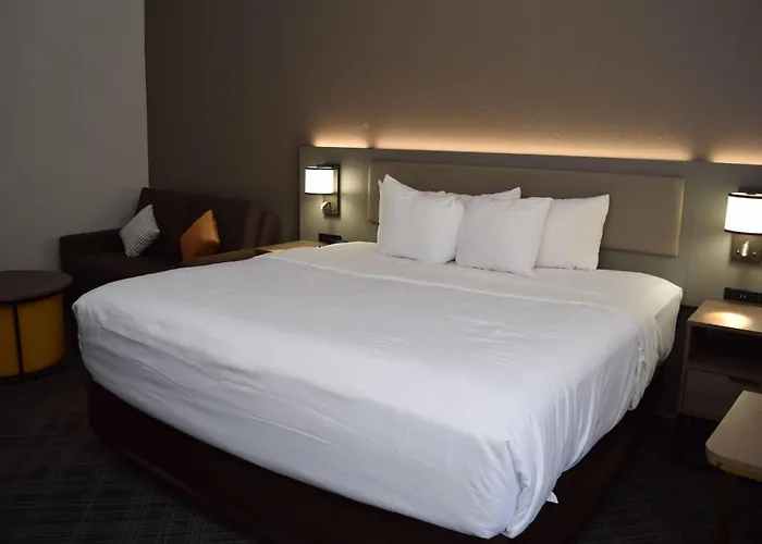 Comfort Inn & Suites Syracuse-Carrier Circle