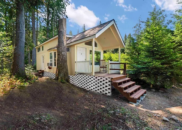 New Tiny Home Steps Away From Mt. Rainier