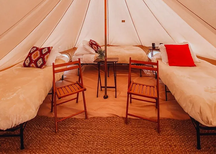Wander Camp Olympic
