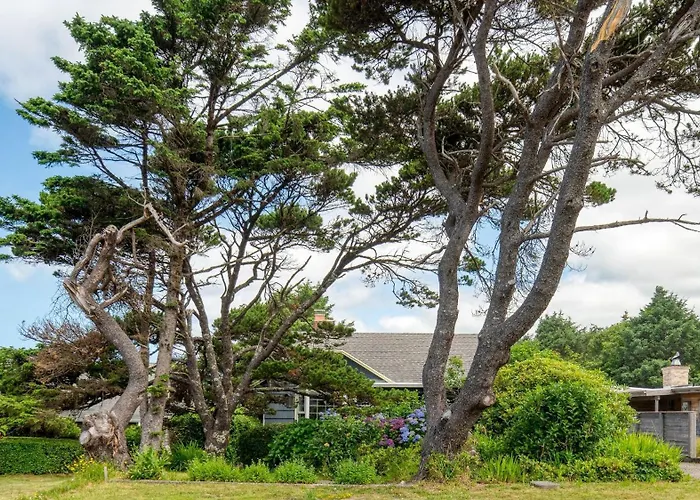 Beach Pines Bungalow By Avantstay