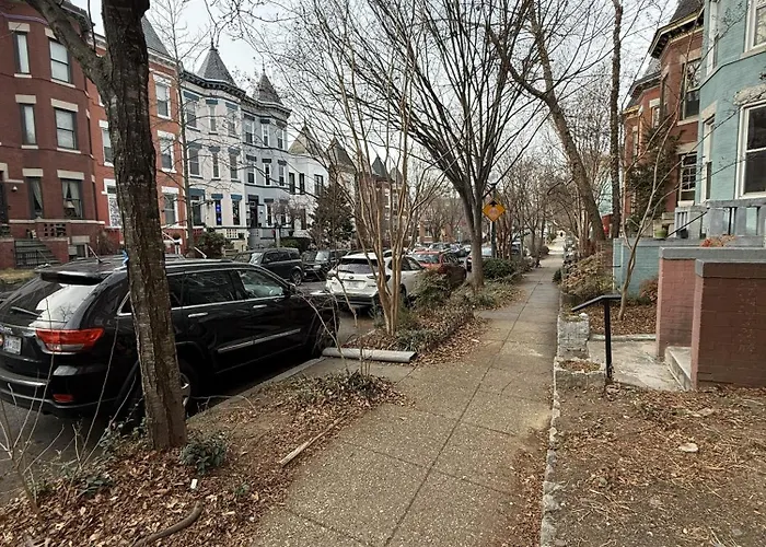 Newly Renovated Bloomingdale English Basement Apartment