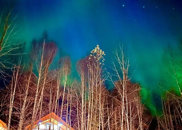 Riverfront, Authentic, Luxury Log Cabin-Bull Moose