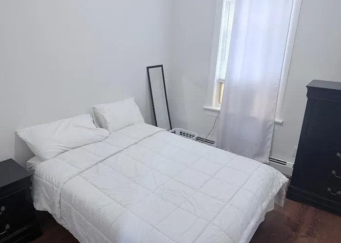 Cozy Single Room