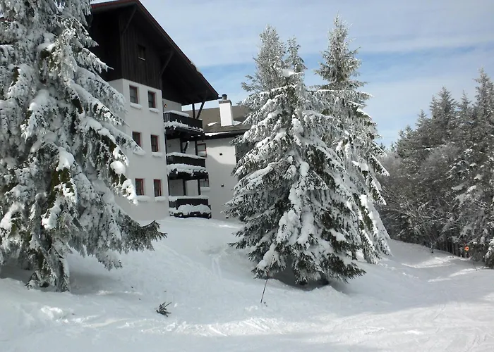 Whistlepunk #24: 4 Bedroom, 3 Bath: Slope Side, Wood Fireplace