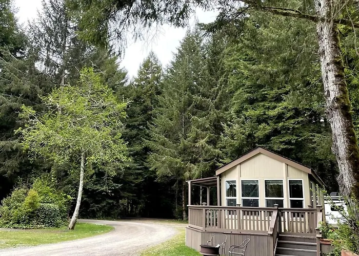 The Tall Trees Cabin