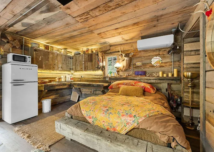 Squatter'S Cabin