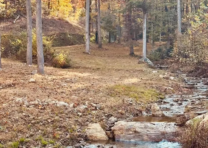 Mountain Cabin & Creek-Front Nature Retreat Nc