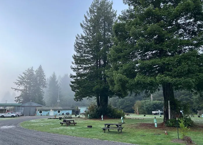 Little Foot Rv