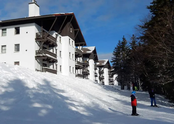 Whistlepunk #33: 1 Bedroom, 1 Full Bathroom: Slope Side, Wood Fireplace