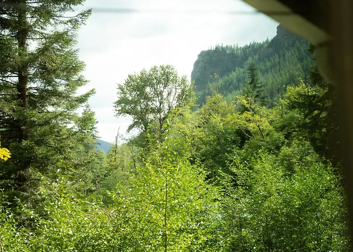 Forest Escape At Wilderness Rim