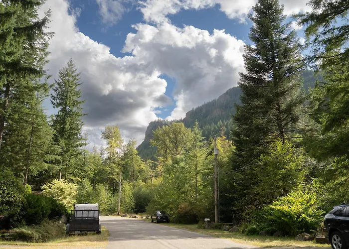 Forest Escape At Wilderness Rim
